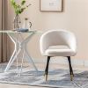 Dining Chairs, Modern Dining Room Chair Chair with Metal Legs for Living Room